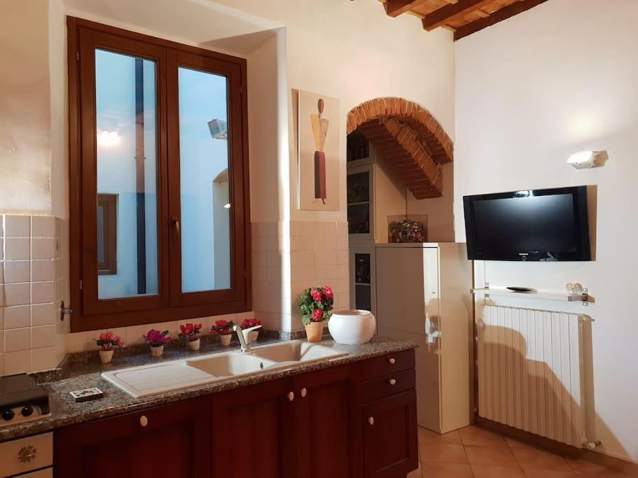 Charming Garden In Apartment Florence